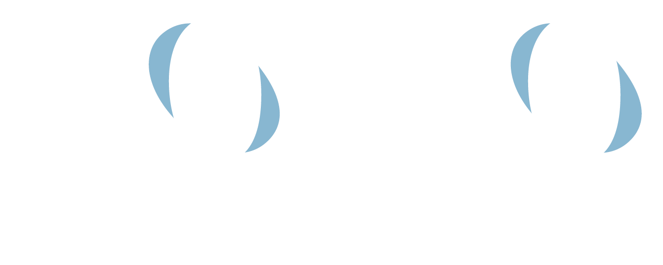 Rogo